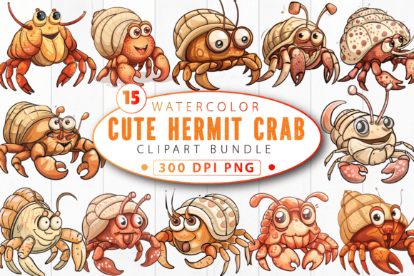 Download Funny Cute Hermit Crab Clipart Bundle - Cute Collection